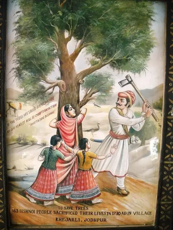 summer-impressions bodyImage